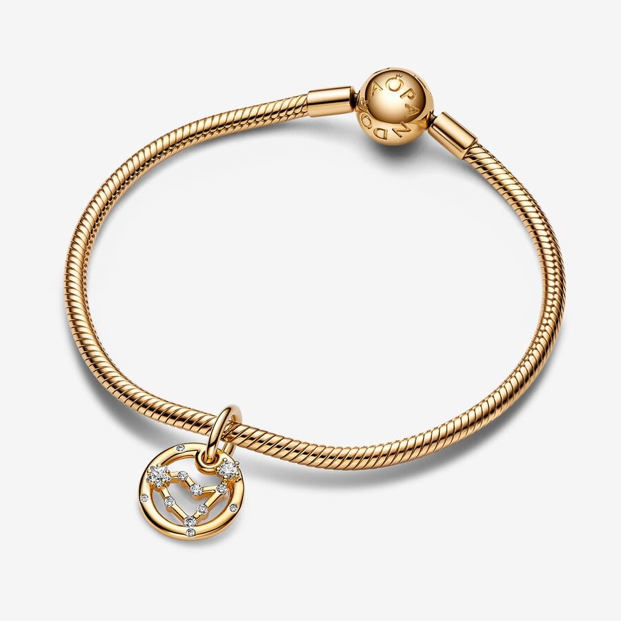 Capricorn Zodiac Dangle Charm Bracelet Set