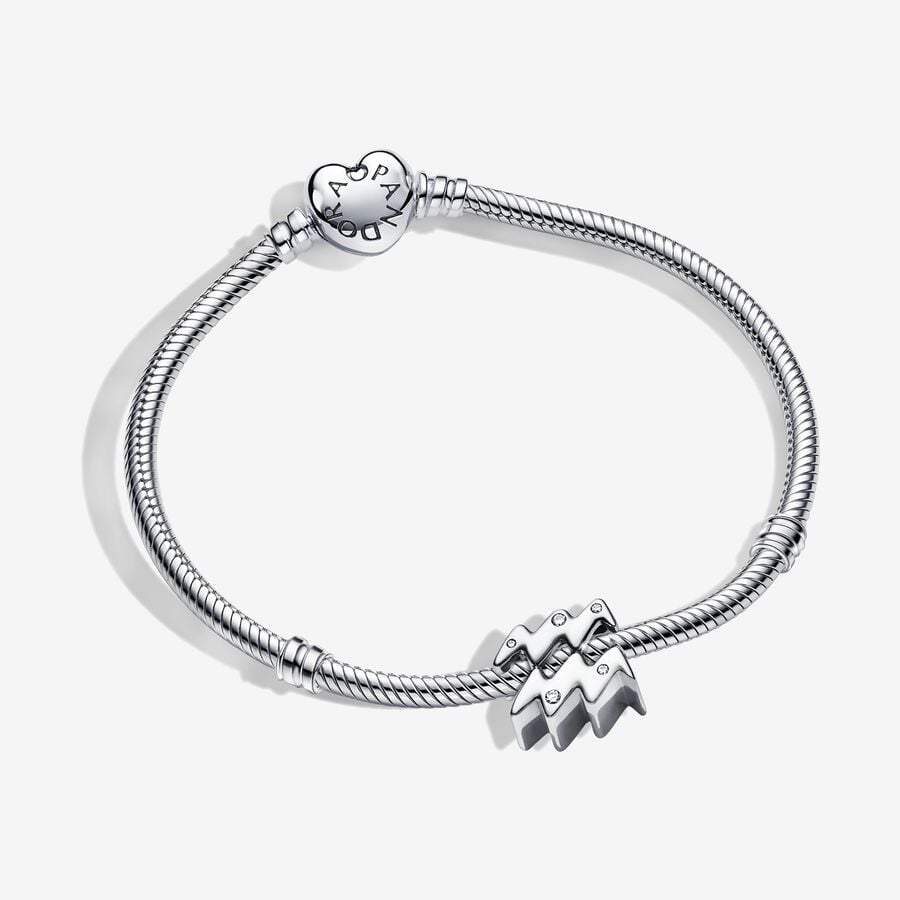 Aquarius Zodiac Charm Bracelet Set