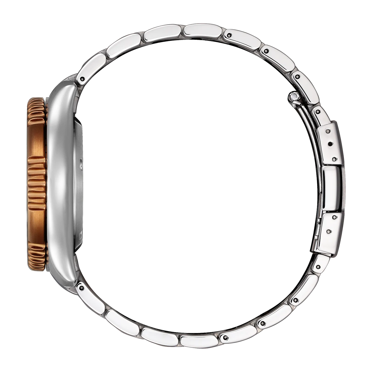 Promaster Dive Automatic