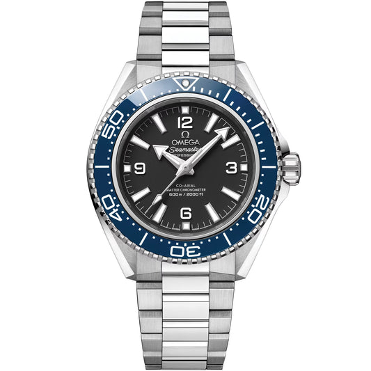Omega Seamaster Planet Ocean 600M 42 mm — Steel on Steel (217.30.42.21.01.002)