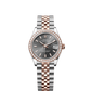 Rolex Datejust 31 Slate Dial Everose/Steel Oyster Bracelet 278381RBR