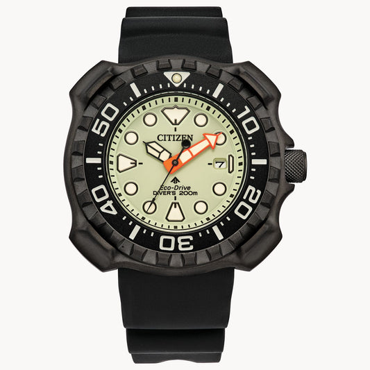 Promaster Dive