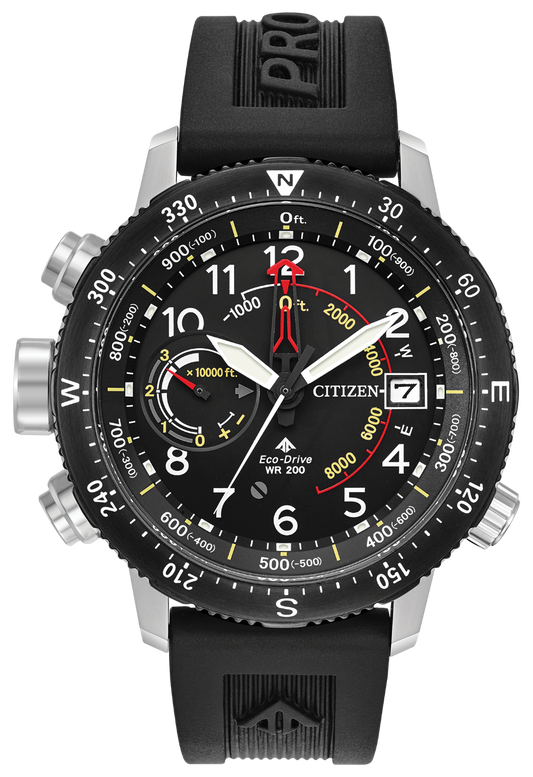Promaster Altichron